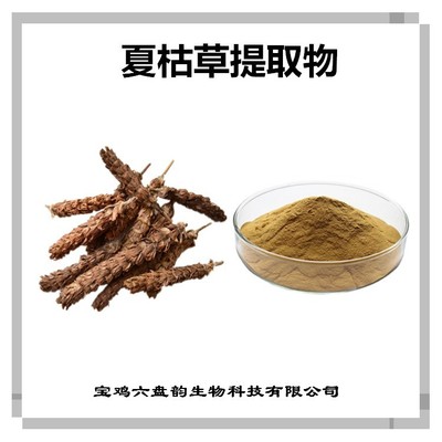 夏枯草提取物與龍眼 傳統藥食同源的碰撞與雙重健康功效